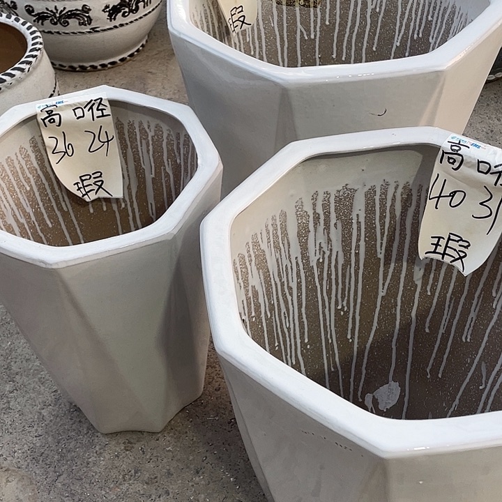 花盆花开了一个人的房间