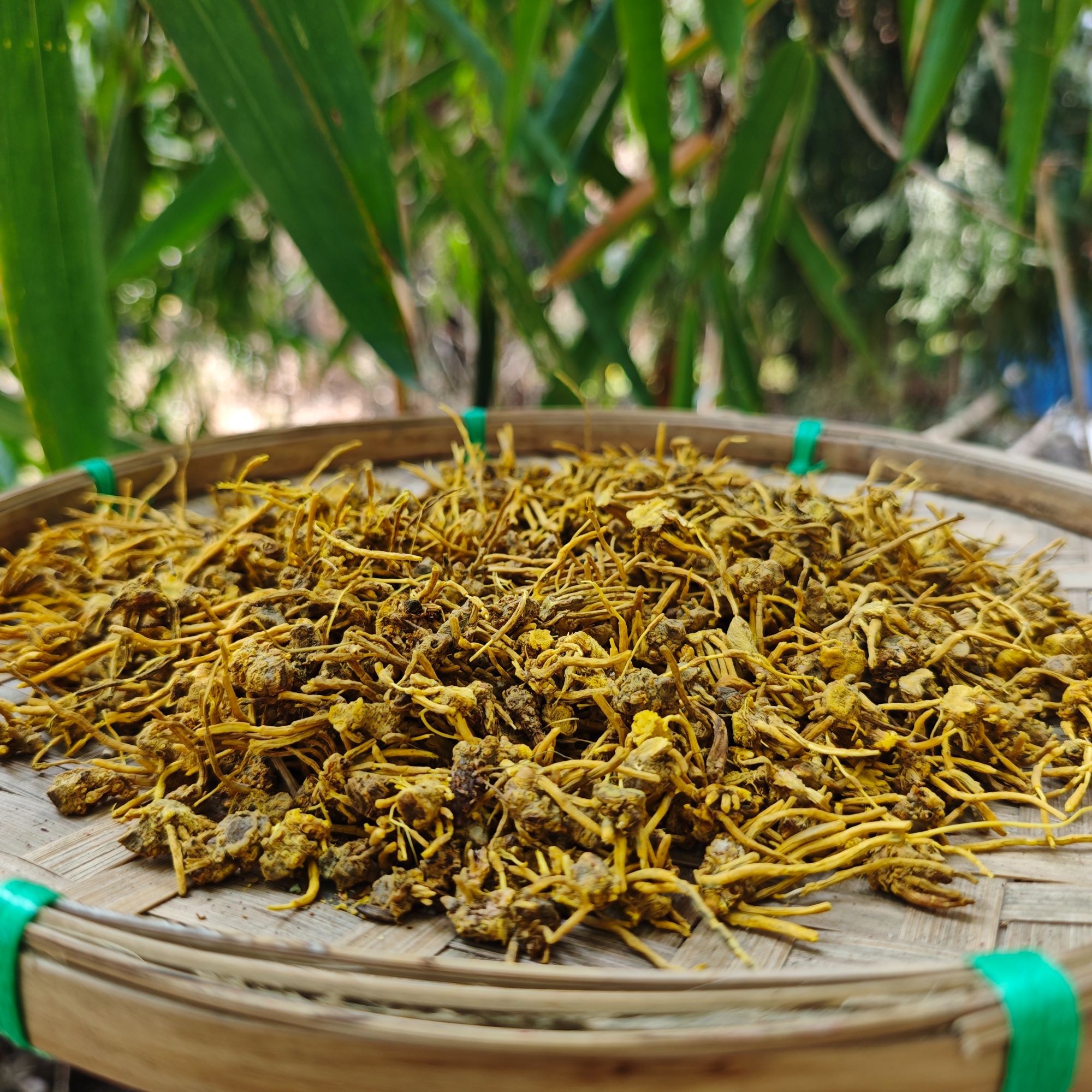 1【龙-须-石-斛】净含量：250-1000g【阿妹现收】枸杞