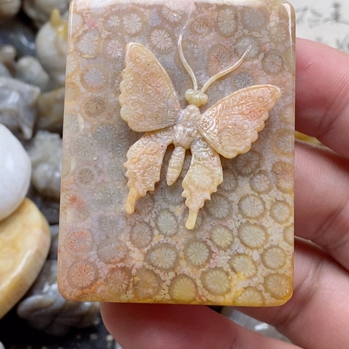 颈饰未镶嵌硅化珊瑚（珊瑚玉）