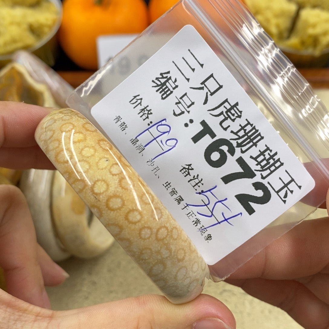 硅化珊瑚（珊瑚玉）1未镶嵌墨*