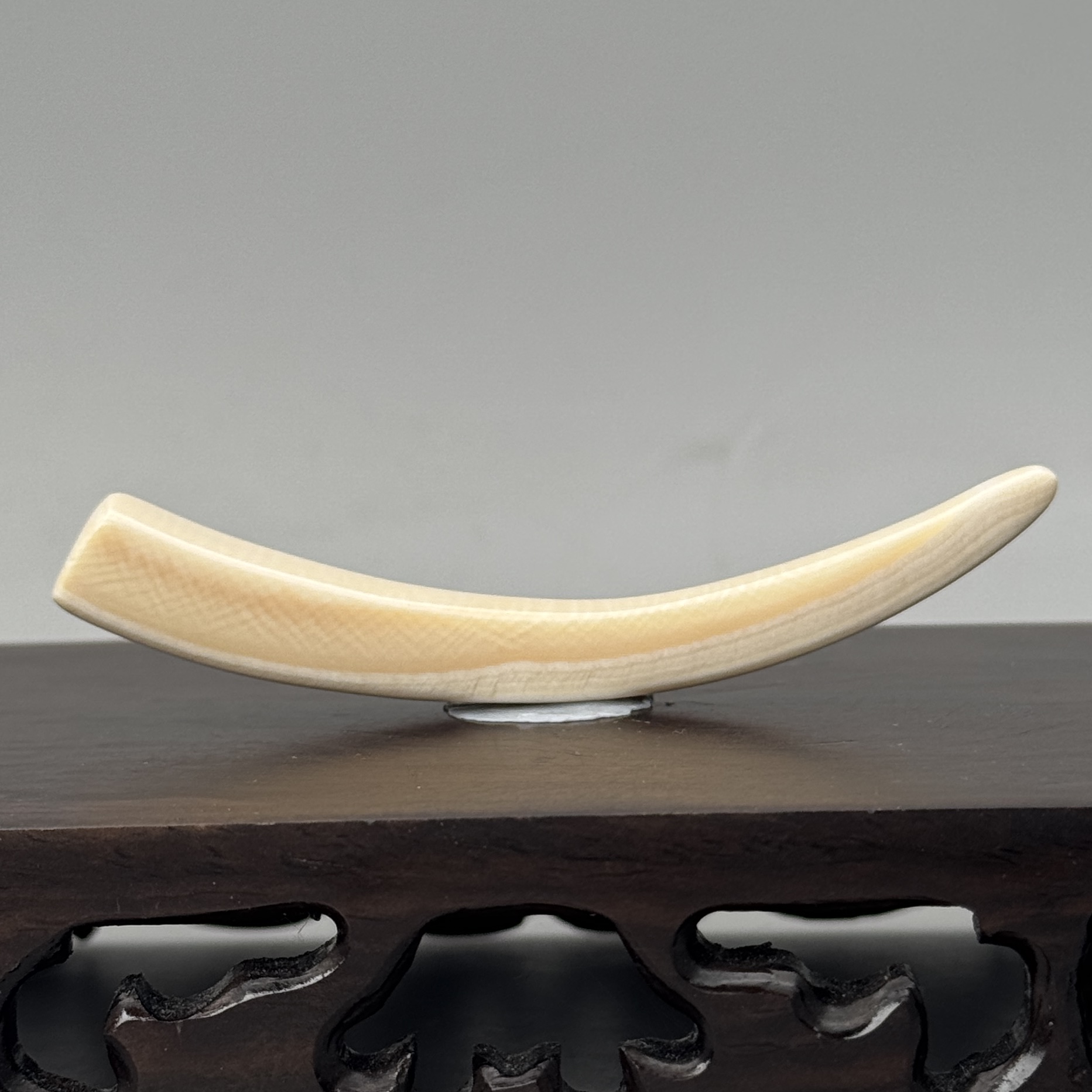 77*9*9mm7.5g牙尖吊坠天然猛犸牙C156