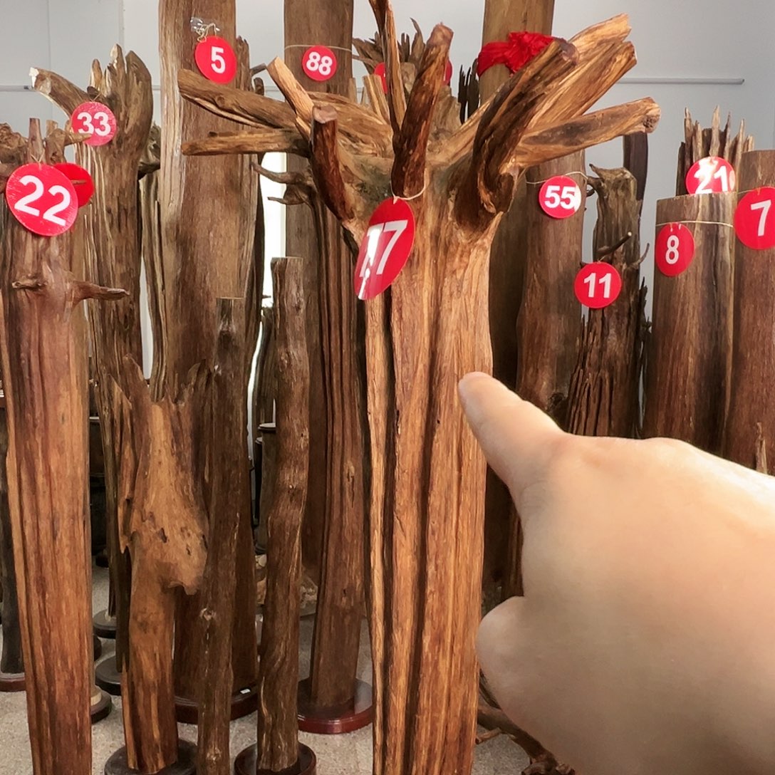 植***员沉香摆件沉香原料6