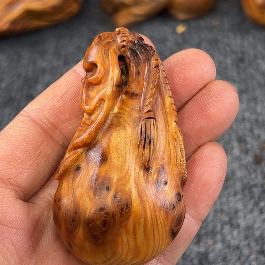 崖柏太行崖柏黑金刚独根瘤花钱袋