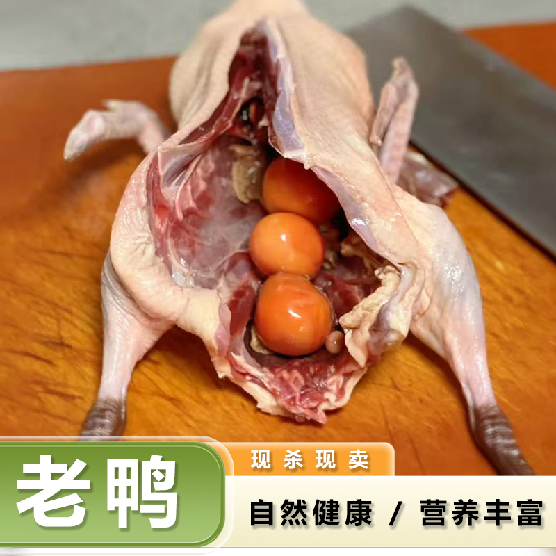 农家散养正宗老鸭鸽新鲜现杀可红烧可煲汤 