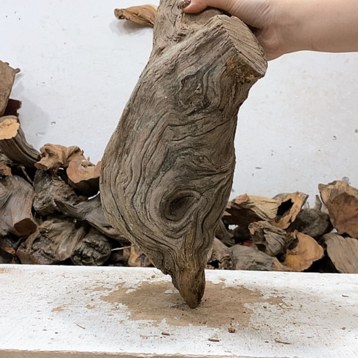 【闪购商品】柏木熟****?我们都是好孩子