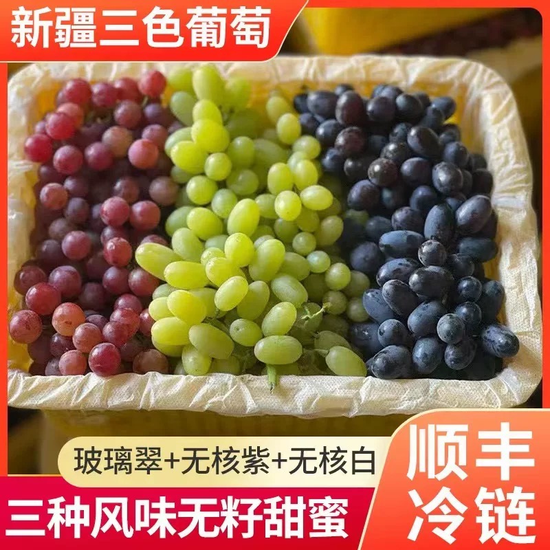 【新疆葡萄｜明日必达】正宗新疆吐鲁番三色葡萄 5 斤装 包邮全国仓发 无籽无核 坏果包赔新疆维吾尔自治区