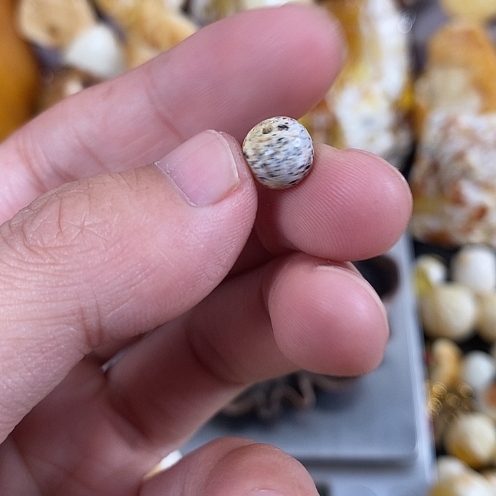 琥珀未镶嵌珠宝奇石我