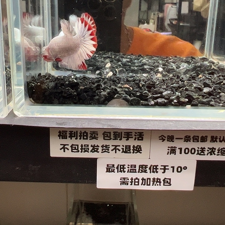 斗鱼跑單拉黑28日22