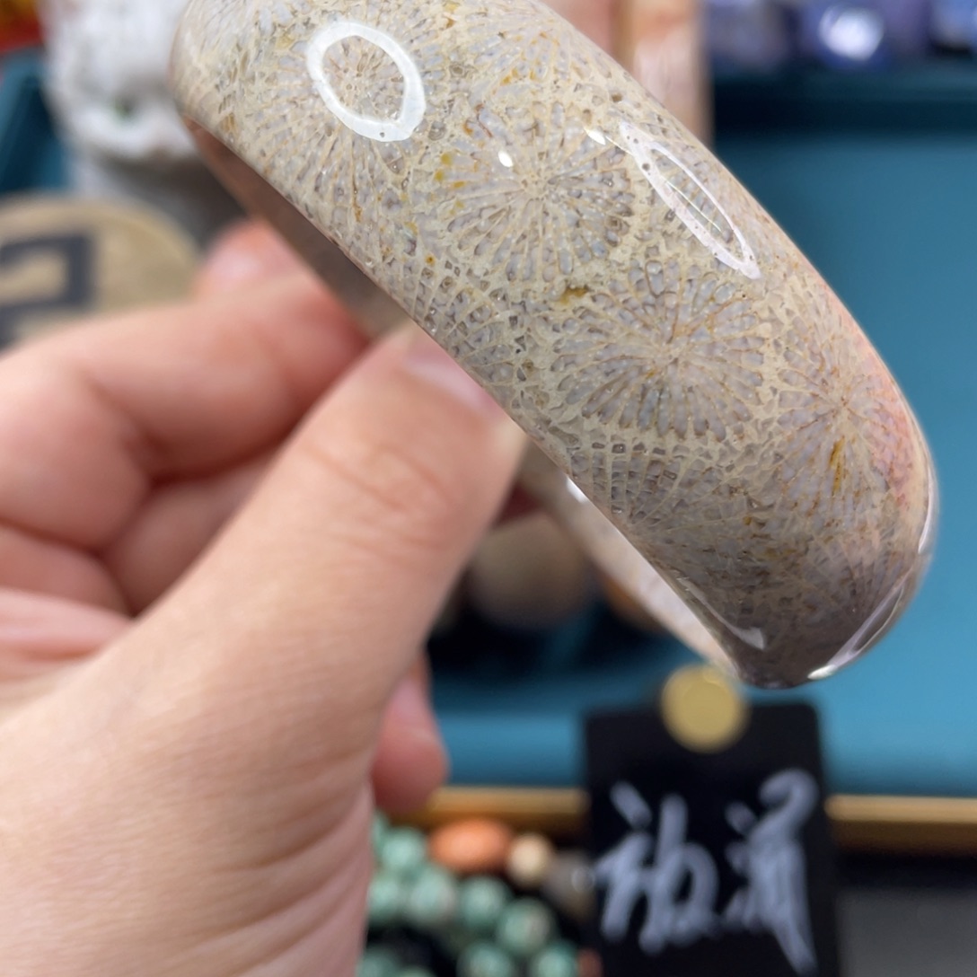 未镶嵌手镯硅化玉