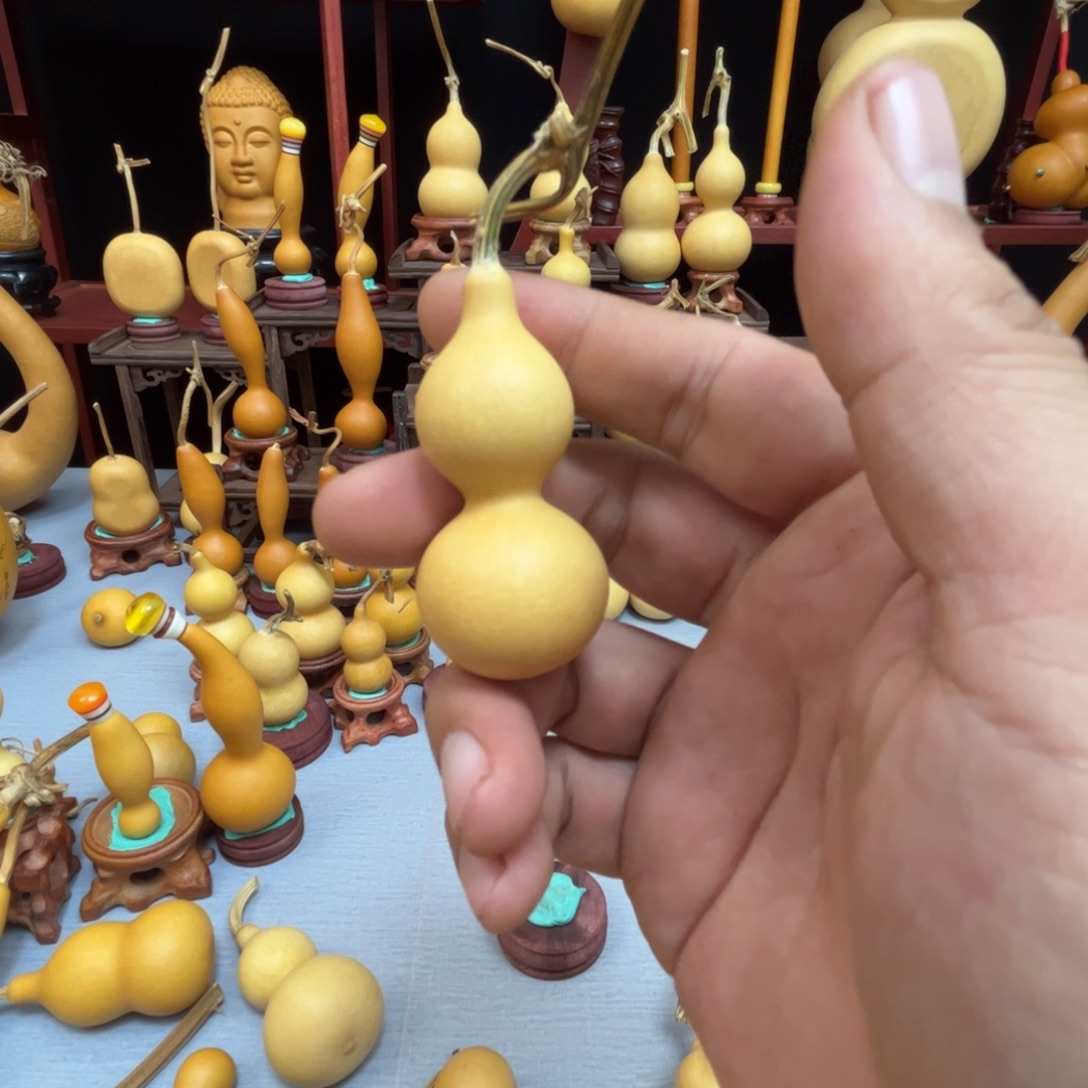 呆***师藤木我的小可爱，一点也不像个女孩