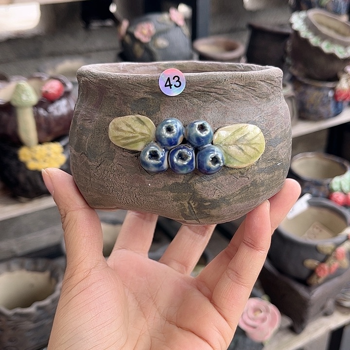 红陶不知道是因为没有