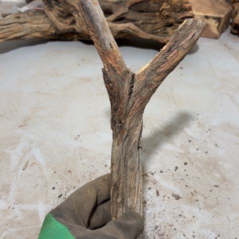 大果紫檀（缅甸花梨）凉