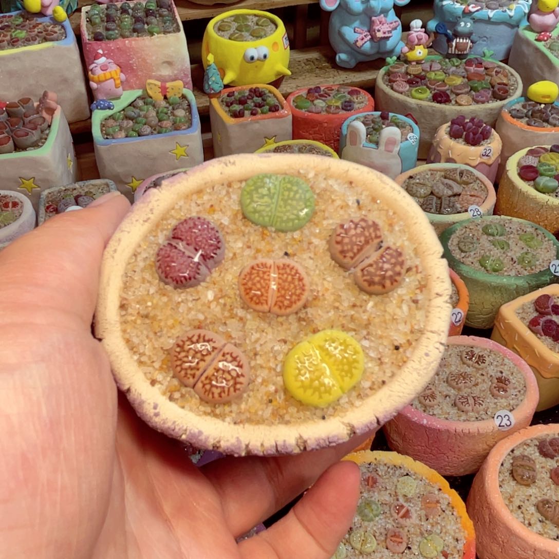 228。8888885888969999