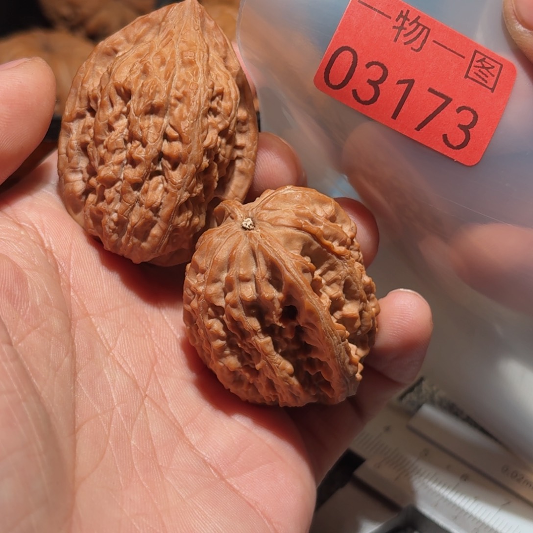 文玩核桃把件野鸡