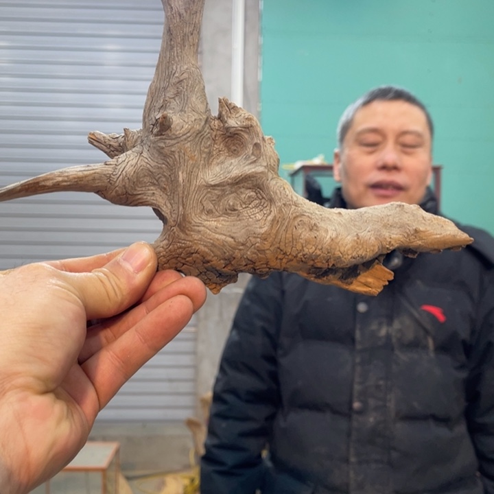 罗*曼我们都是好孩子呀