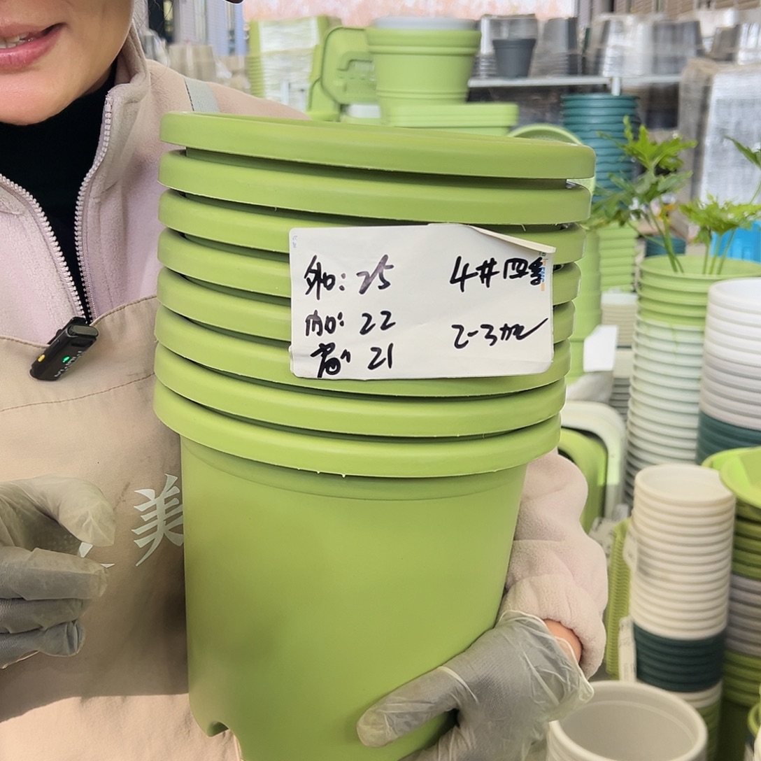 四季盆4#果绿色8个无托