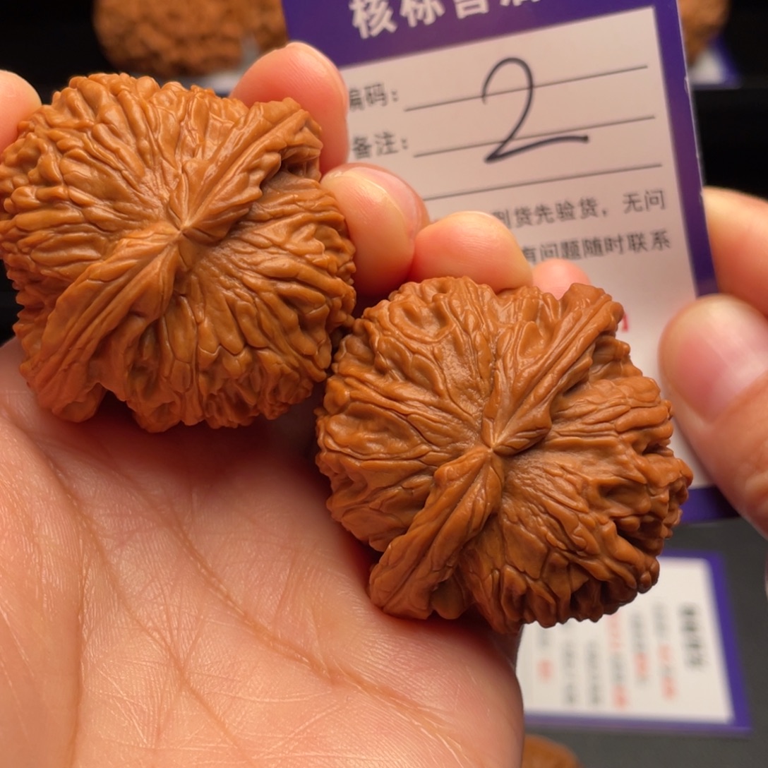 文玩核桃把件白狮子43尺