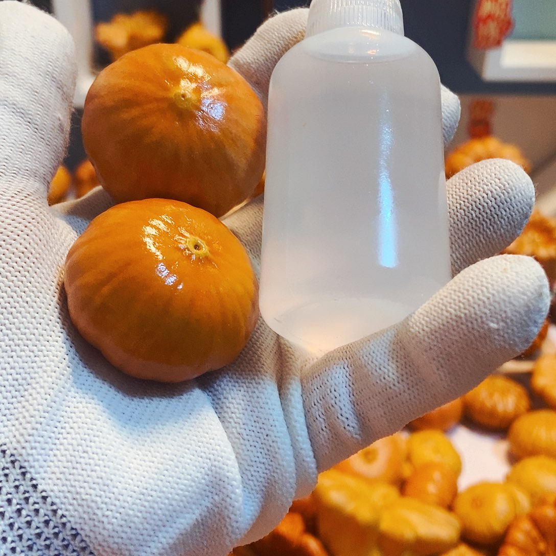 猪*宝墨西哥葫芦花饼