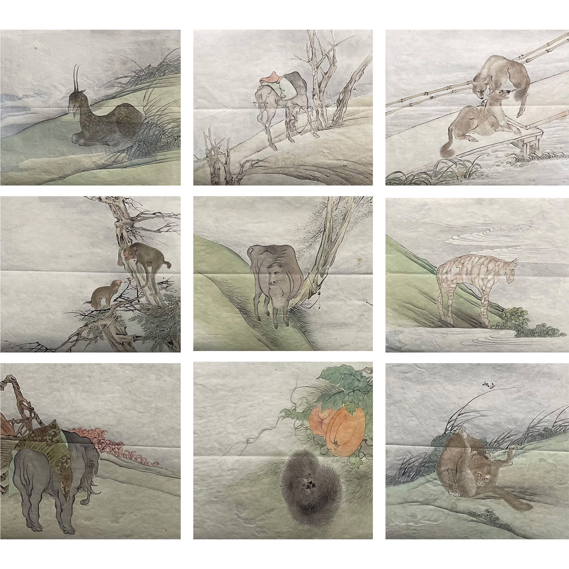 佚 名--动物九帧 22.5*26cm*9
