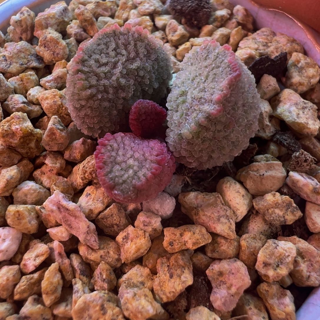 简***单我的小伙伴都在等你