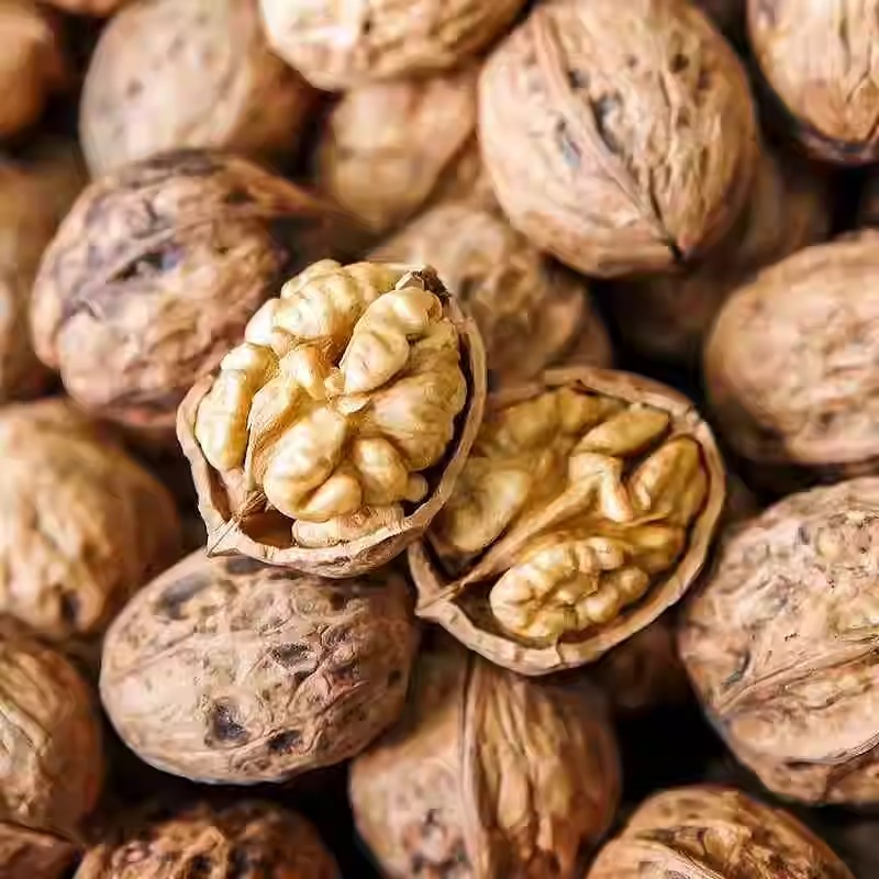 大凉山核桃2024年新货饱满美味肉厚原味营养（1斤也送核桃夹）