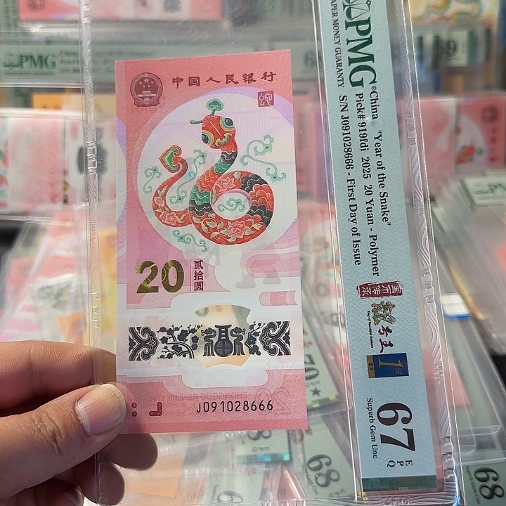 塑料091028666朦胧豹子666pmg67分
