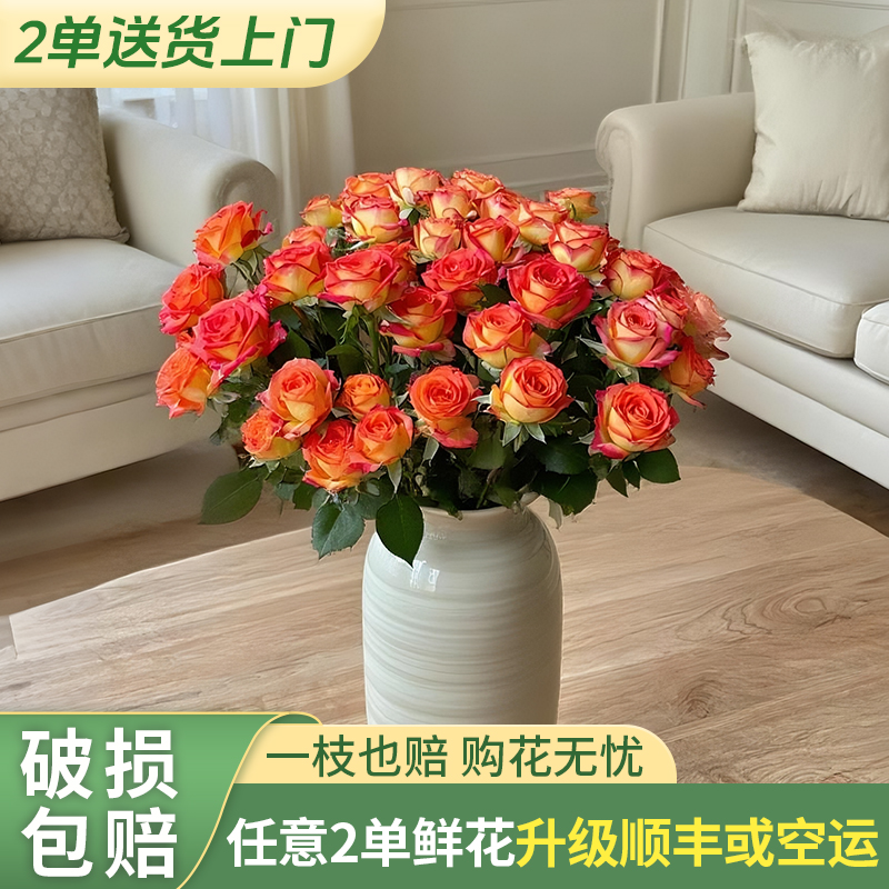 【源头优选老六】爱丽丝多头玫瑰/元旦预热 任意两单鲜花升级快递