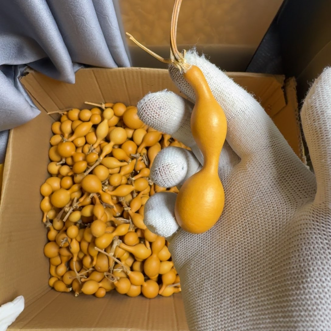 小***啊精品手把蚂蚁肚葫芦