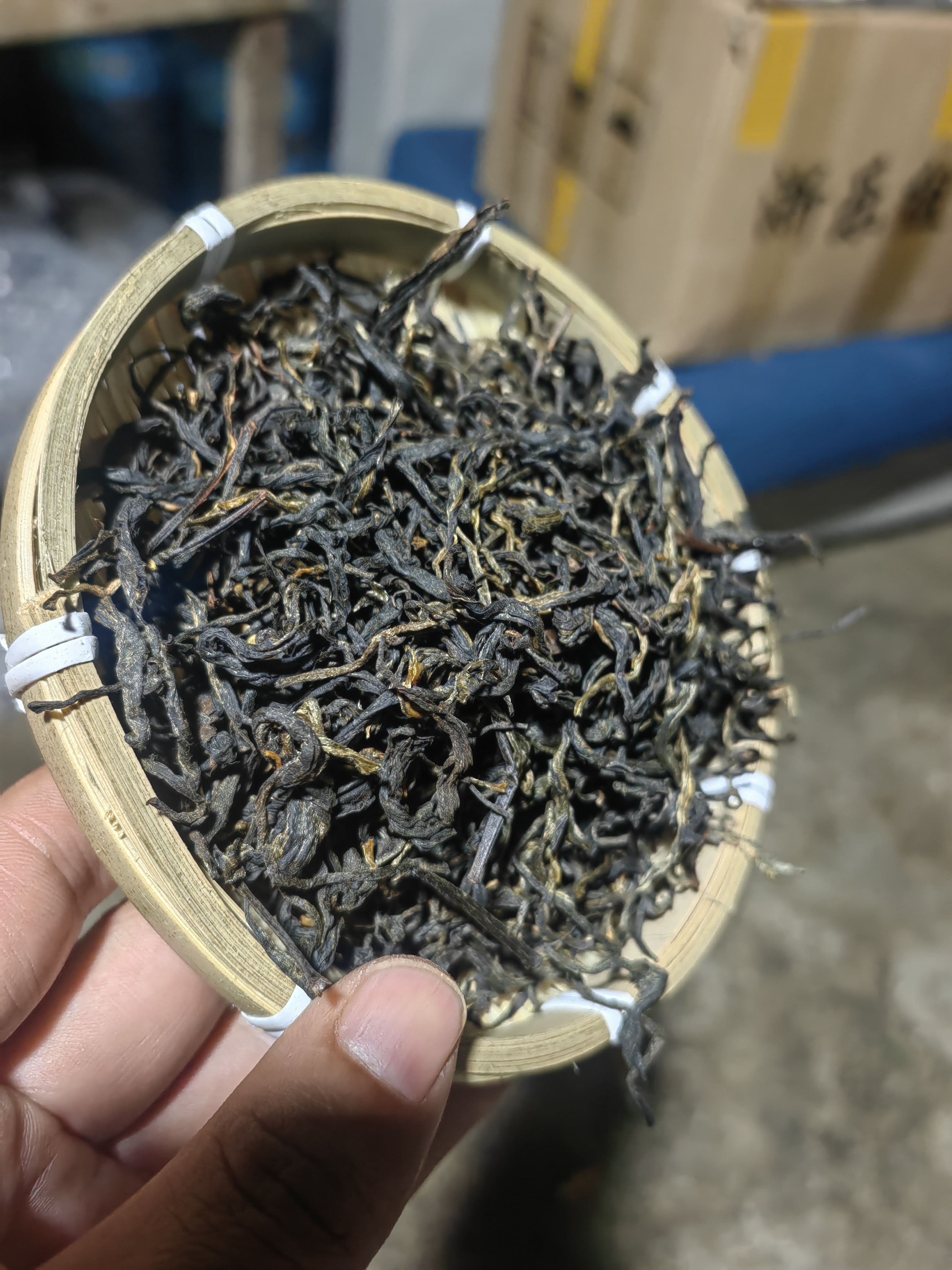 高黎贡山野生毛峰红茶