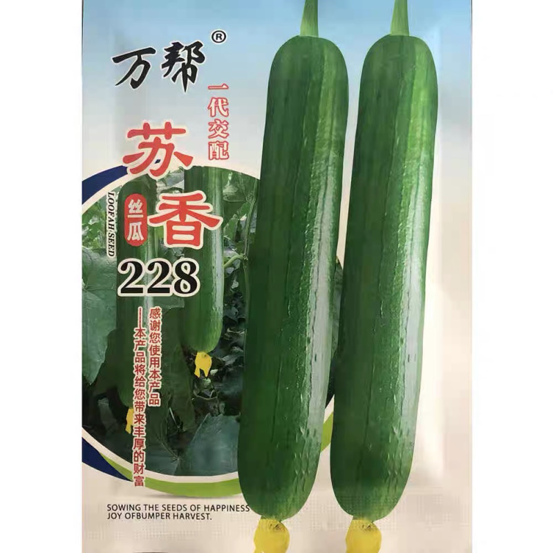 苏香228大肉丝瓜种籽杂交新品种丝瓜籽基地种植品种