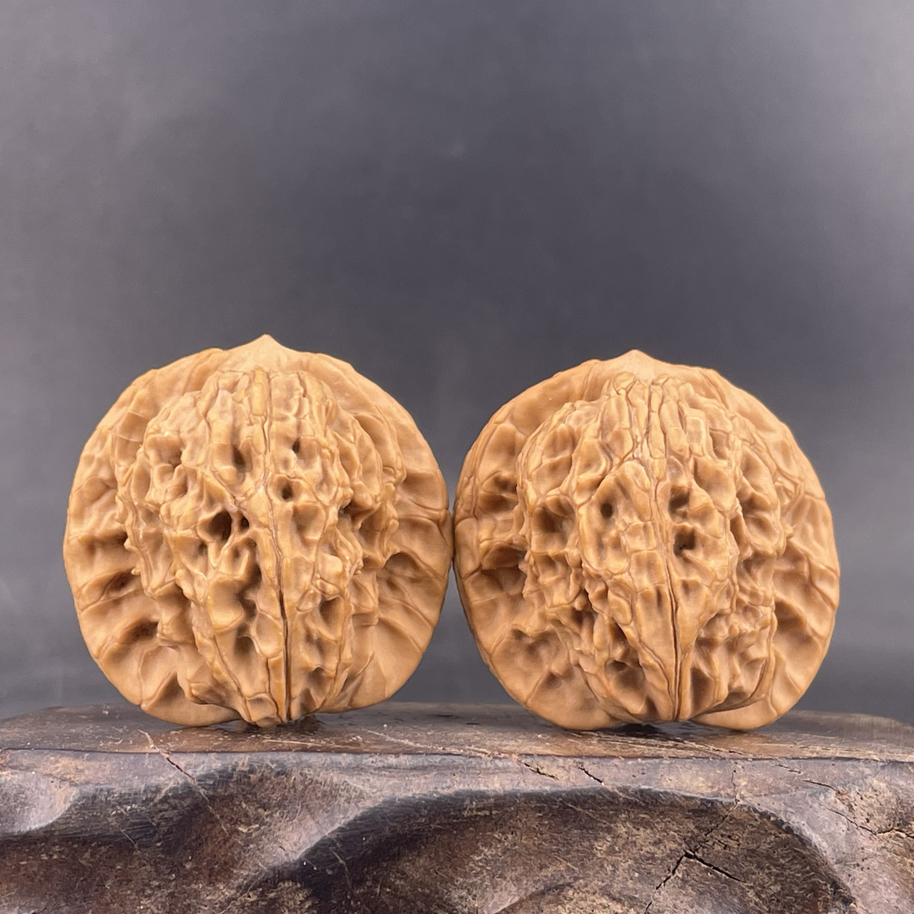 非嫁接马老四狮子头