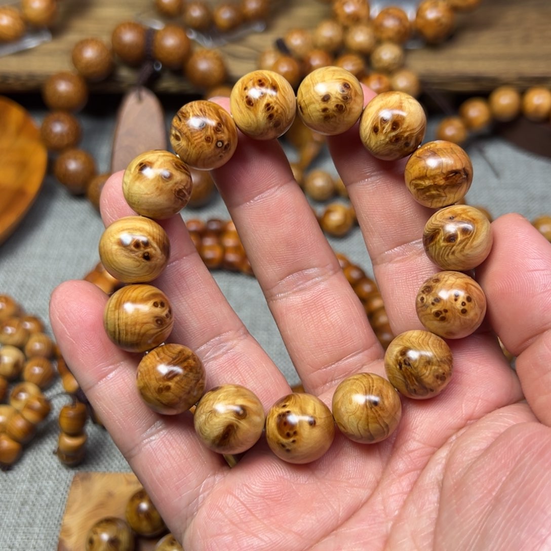 柏木（崖柏）1.5瘤花