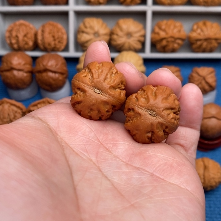 文玩核桃把件小粗筋