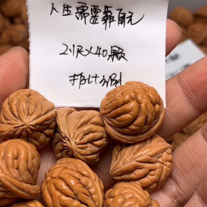 人***己野生龙纹桃核霸王龙