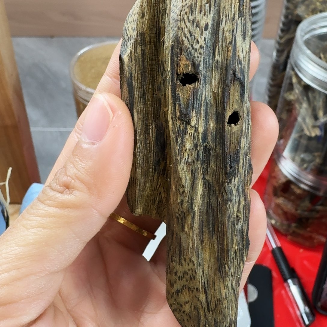 香料绿奇楠虫漏陆河19克