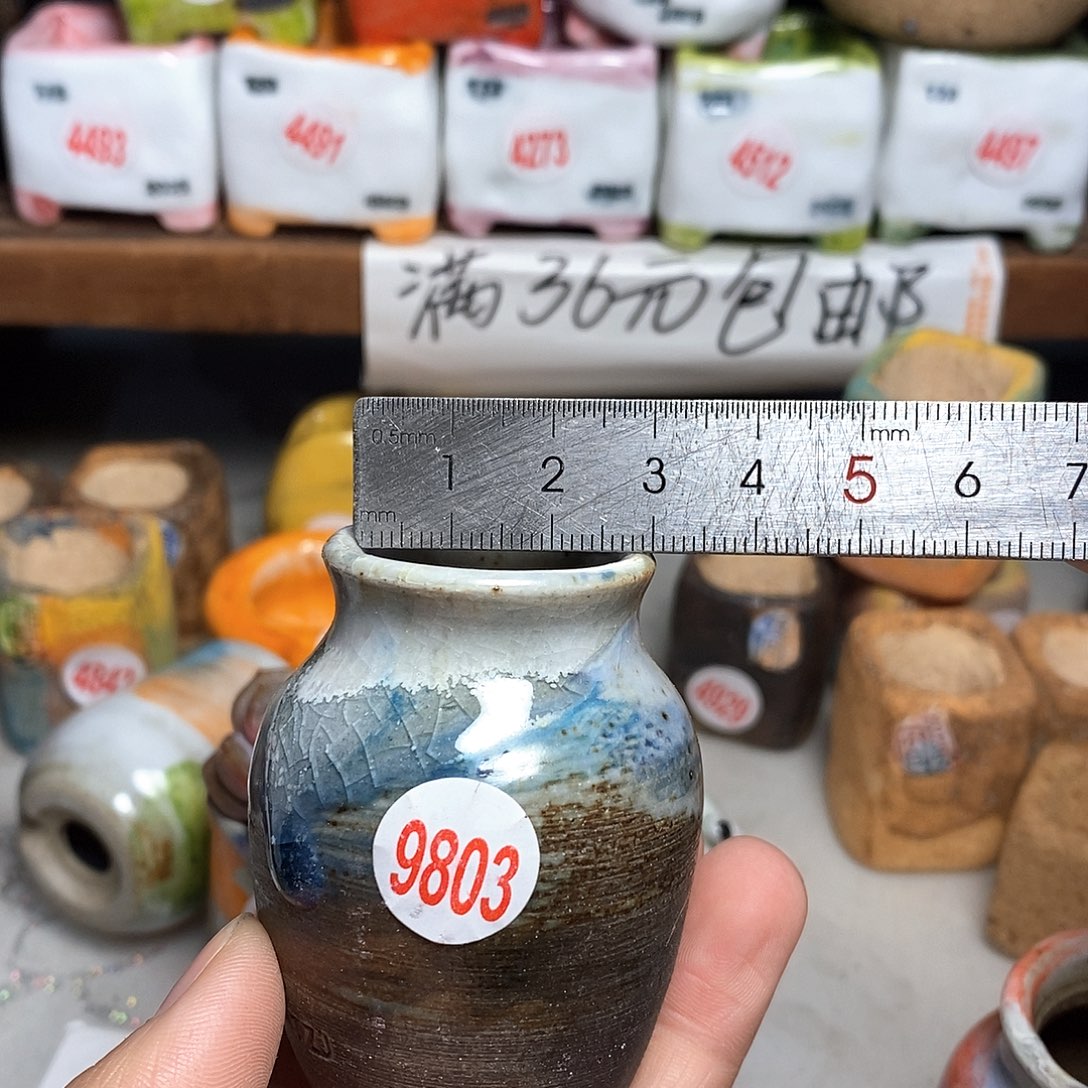 红陶拍5送一个小