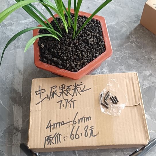 薄***凉兰菌黑山土虫屎颗粒7.7斤