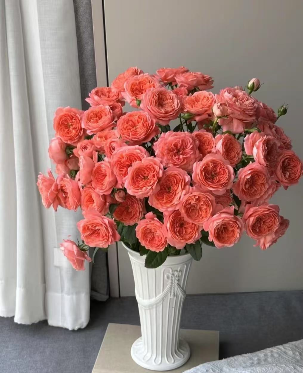 【噗噗花舍】杏色果汁多头泡泡玫瑰  10支 基地直发