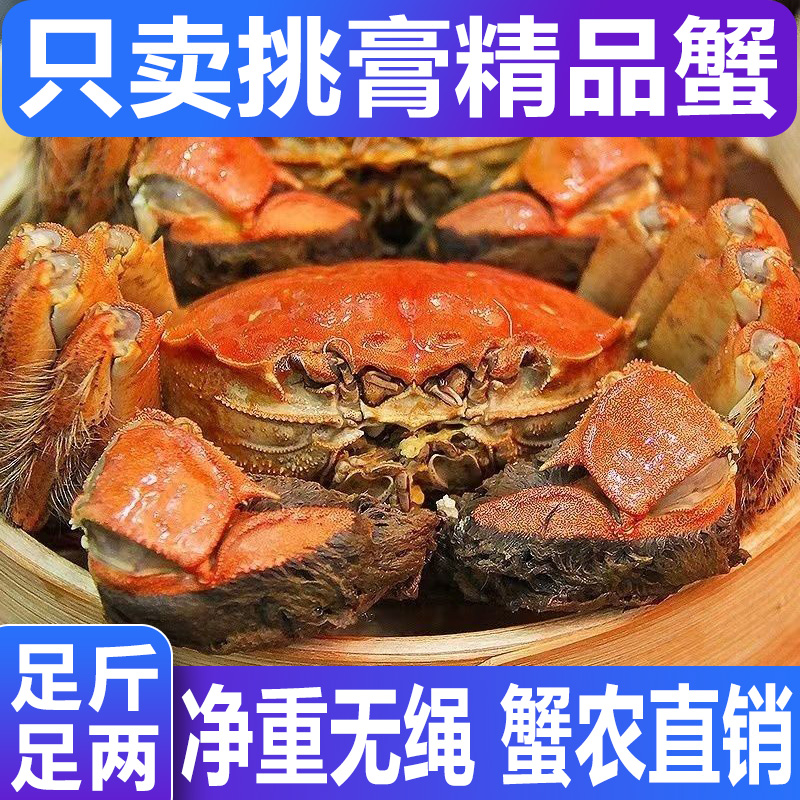 【活蟹】大闸蟹 全公蟹4.3-4.0两6-10只螃蟹鲜活净重 礼盒装 顺丰XX