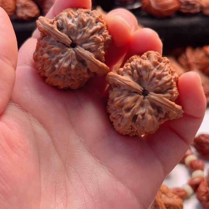 文玩核桃把件37尺寸晋公子