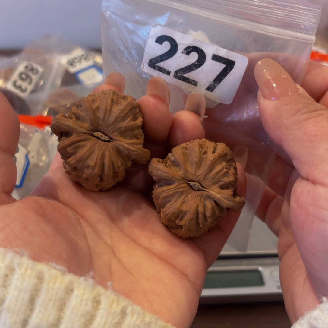 吊坠文玩核桃白狮子40