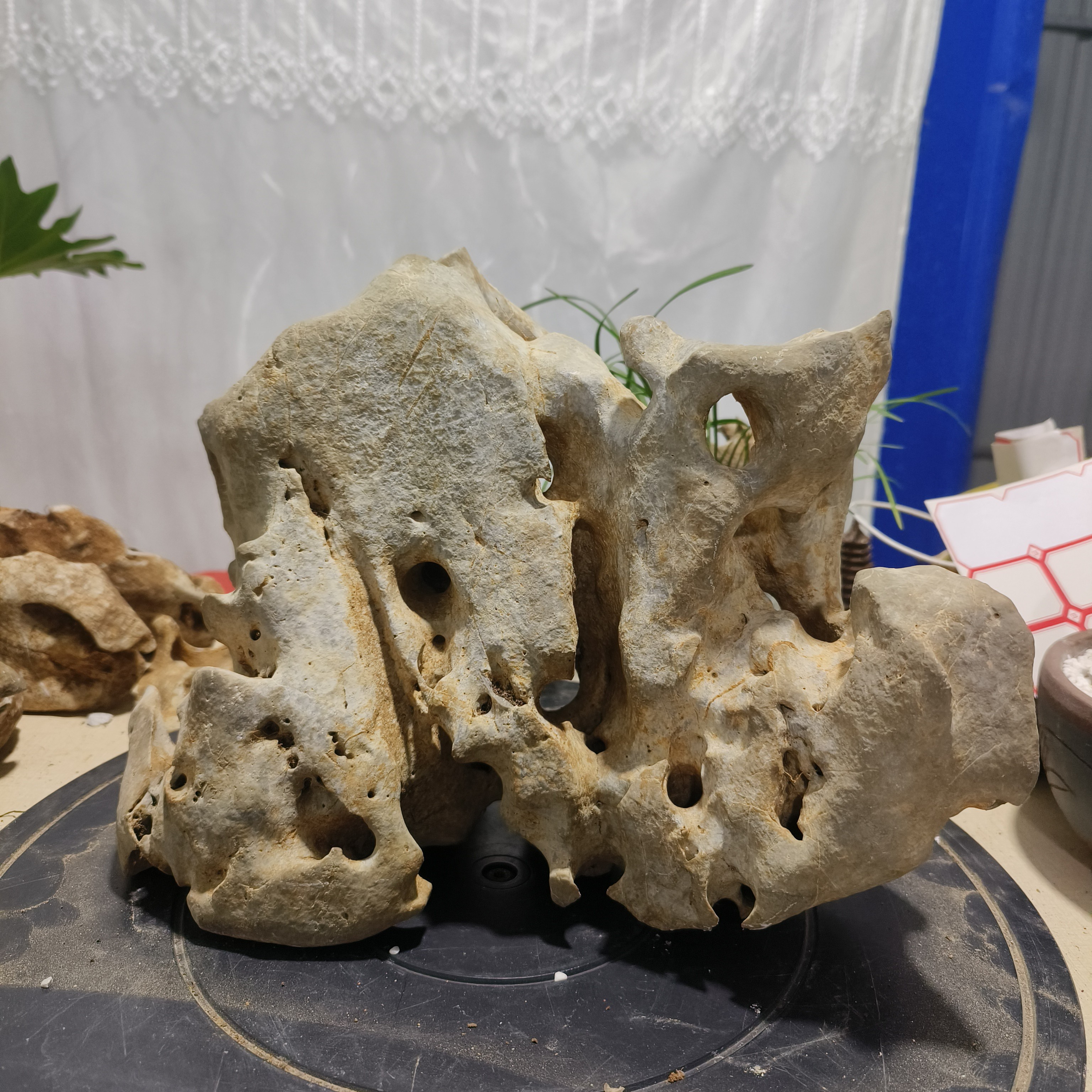 广西太湖石原石精品一手货源手工