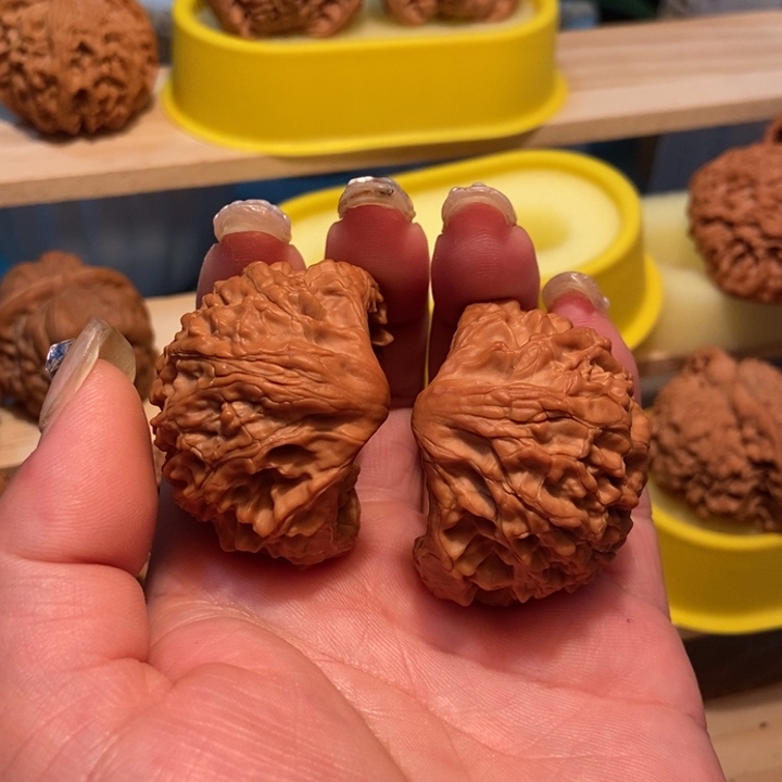 杨官方网站也将陆续