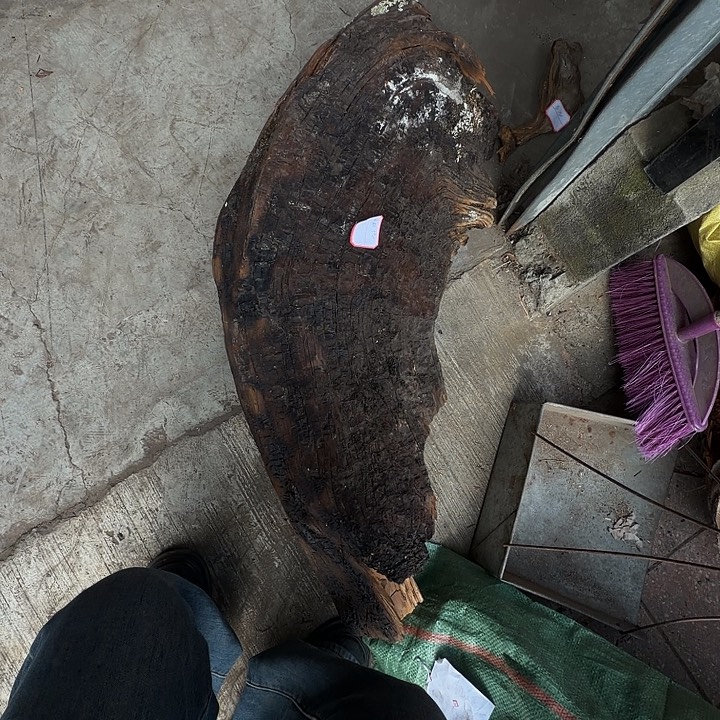 小***8香榧木888888888……