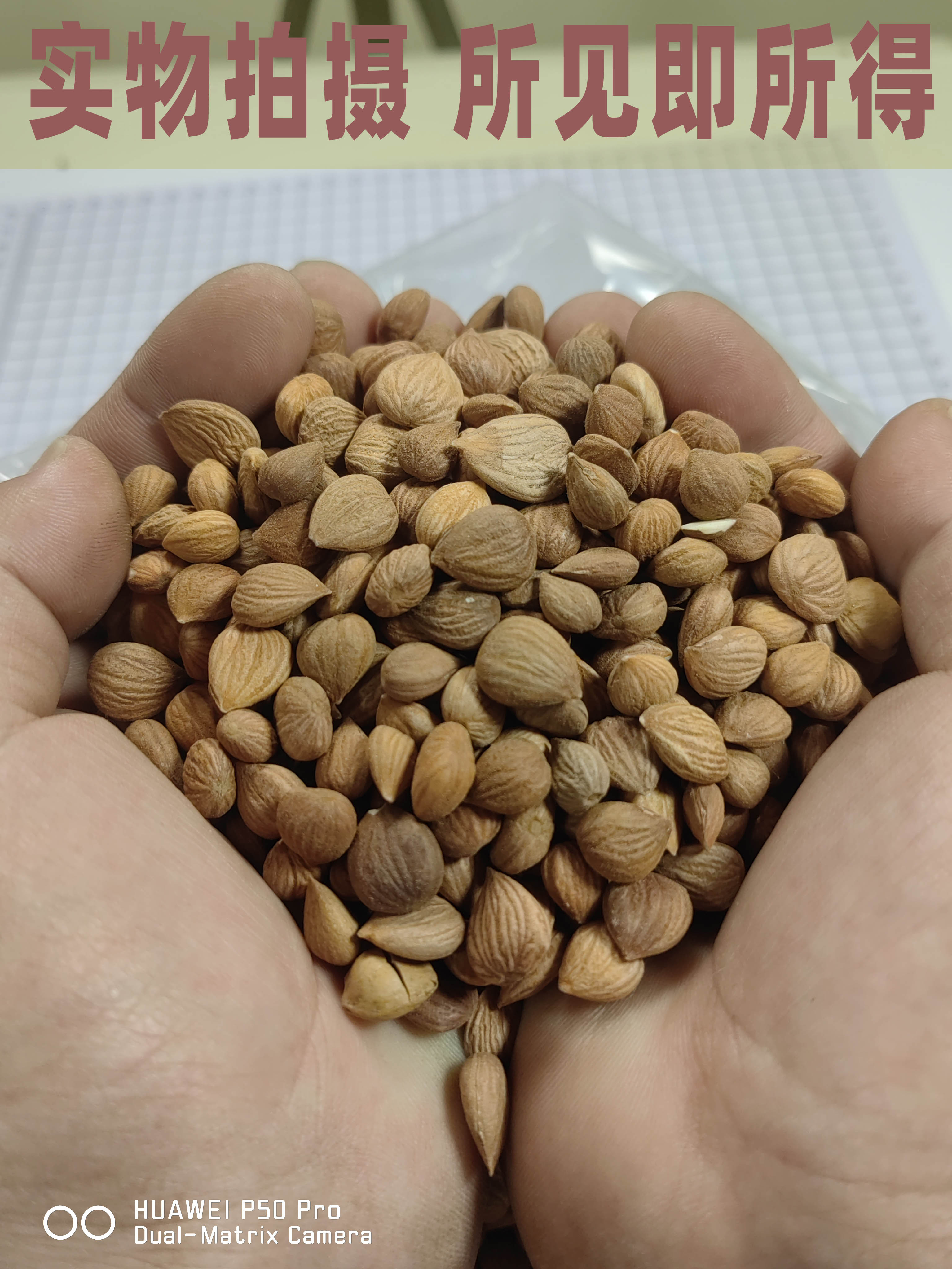 杏仁批发中药材苦杏仁北杏仁带皮杏仁生杏仁泡茶煲汤正品无硫新货