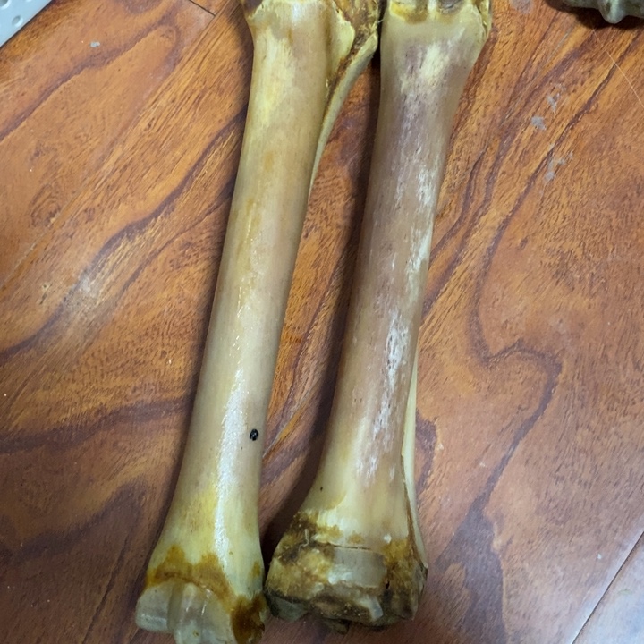 奇***成驼骨手串/手链篇号132发一包