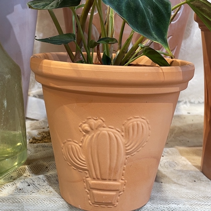 16×14花盆一个……