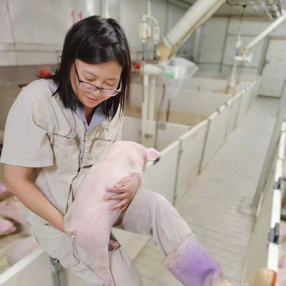 大农盟—饲料添加剂—回—支套餐