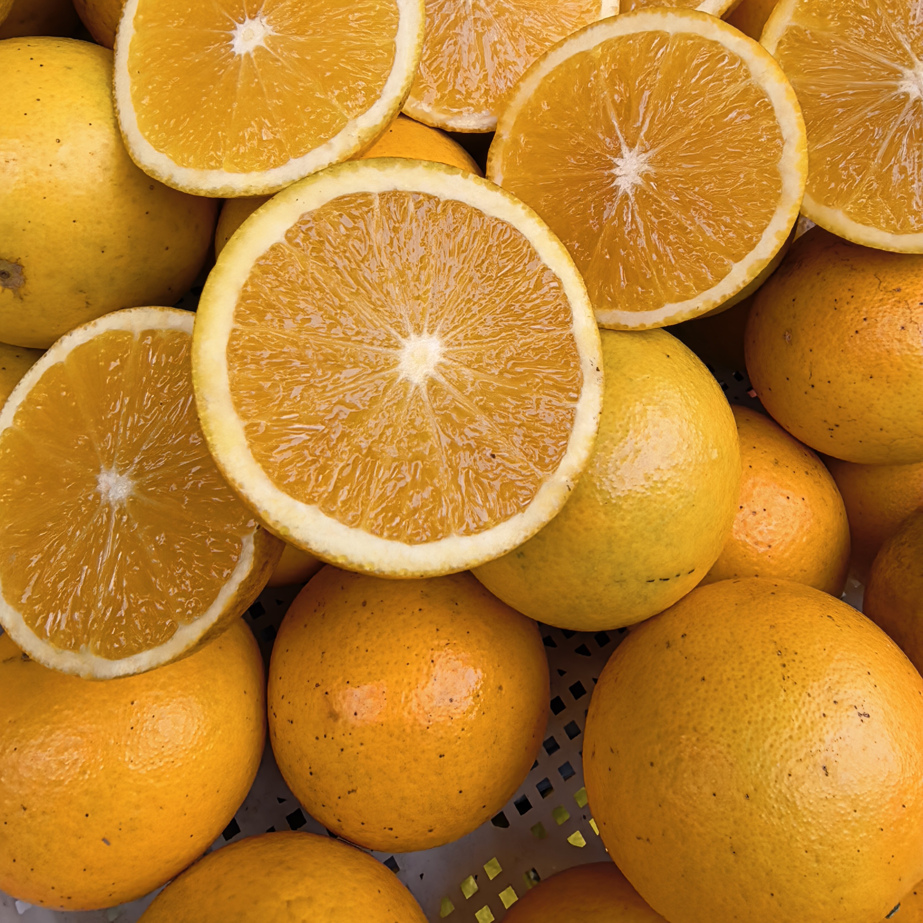 纯甜锦蜜精品果（湖南怀化麻阳）