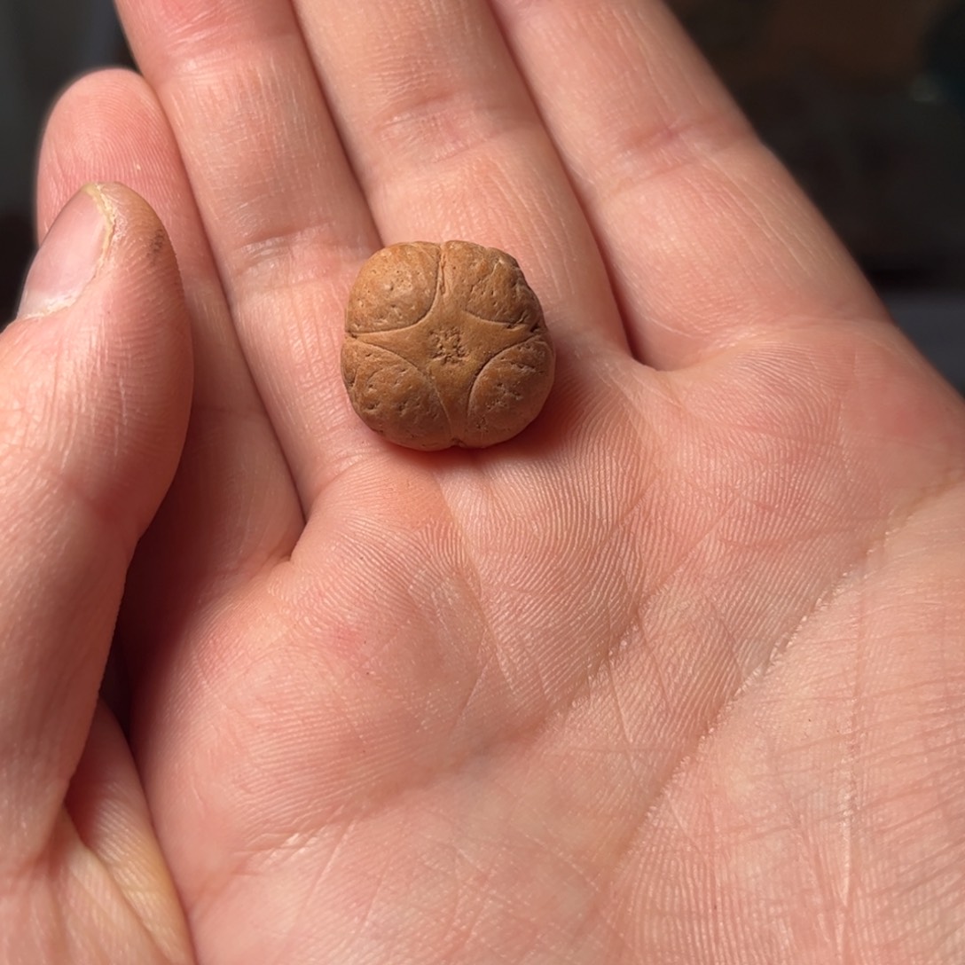 桃核吊坠20mm麒麟眼，开孔不退，偏远不包